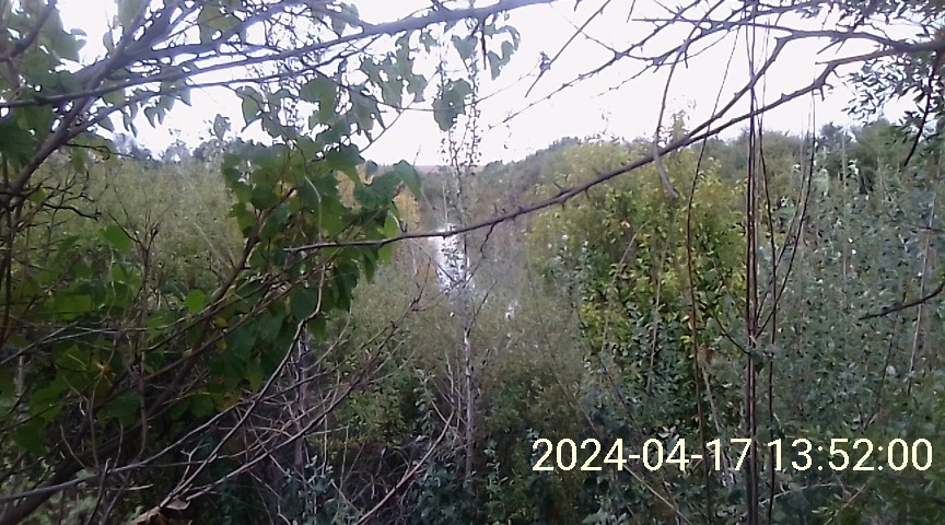  Bedroom Property for Sale in Koppies Rural Free State